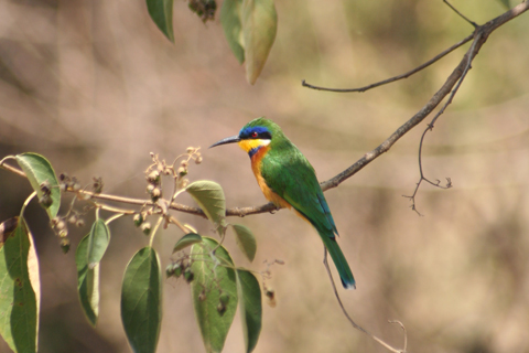 Ethiopia